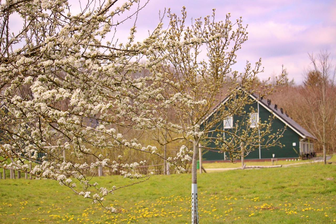 Horsetellerie Rheezerveen Hardenberg Zewnętrze zdjęcie