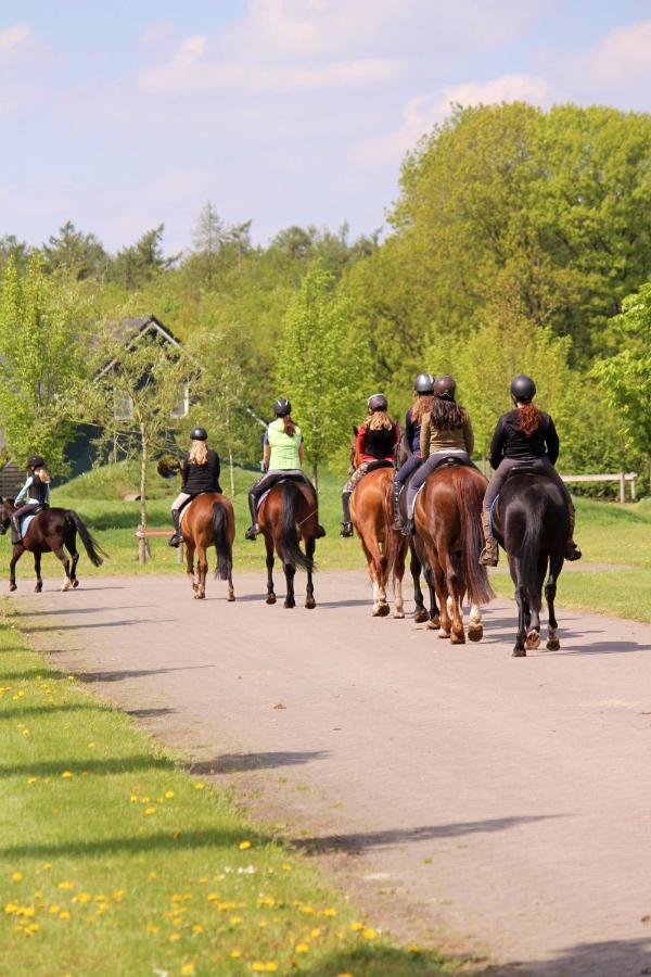 Horsetellerie Rheezerveen Hardenberg Zewnętrze zdjęcie