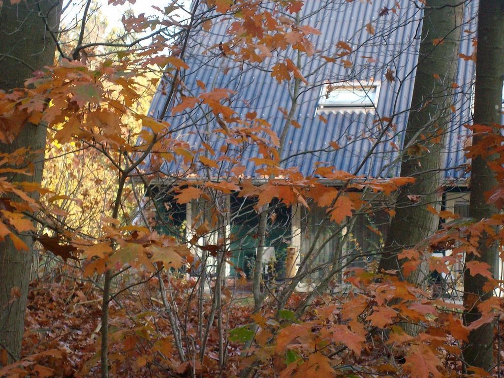 Horsetellerie Rheezerveen Hardenberg Zewnętrze zdjęcie