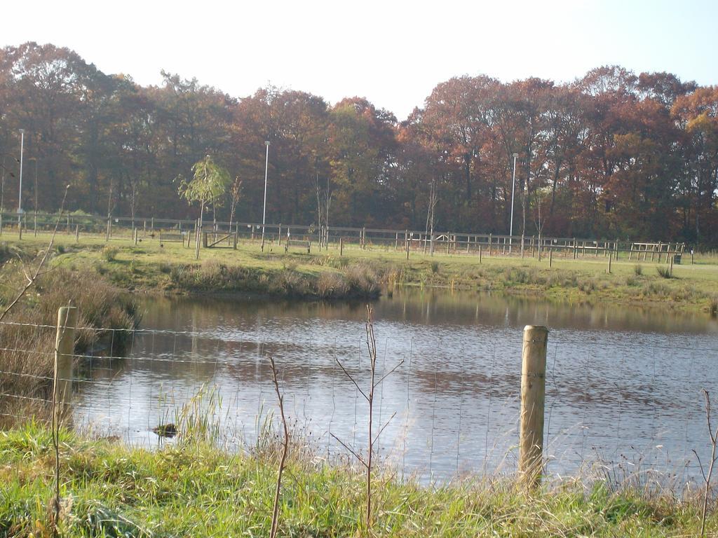 Horsetellerie Rheezerveen Hardenberg Zewnętrze zdjęcie
