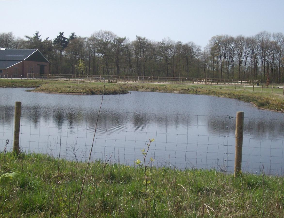 Horsetellerie Rheezerveen Hardenberg Zewnętrze zdjęcie